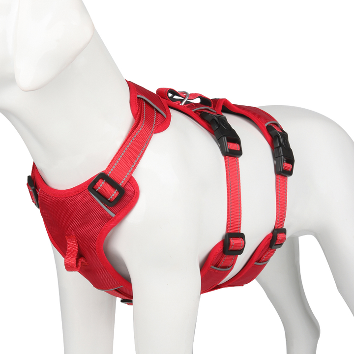 Adjustable reflective nylon no-pull dog harness for autumn