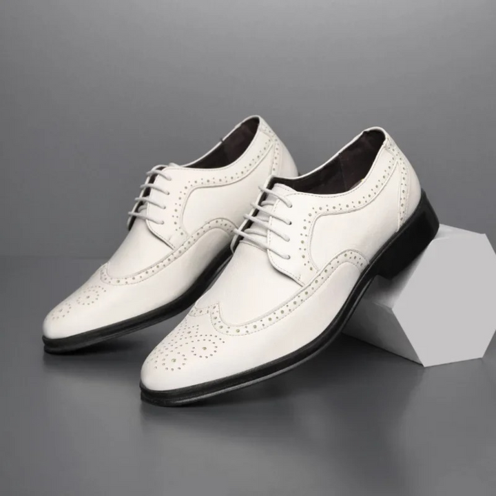 Chaussures Oxford Élégantes Classiques pour Hommes Diederik™