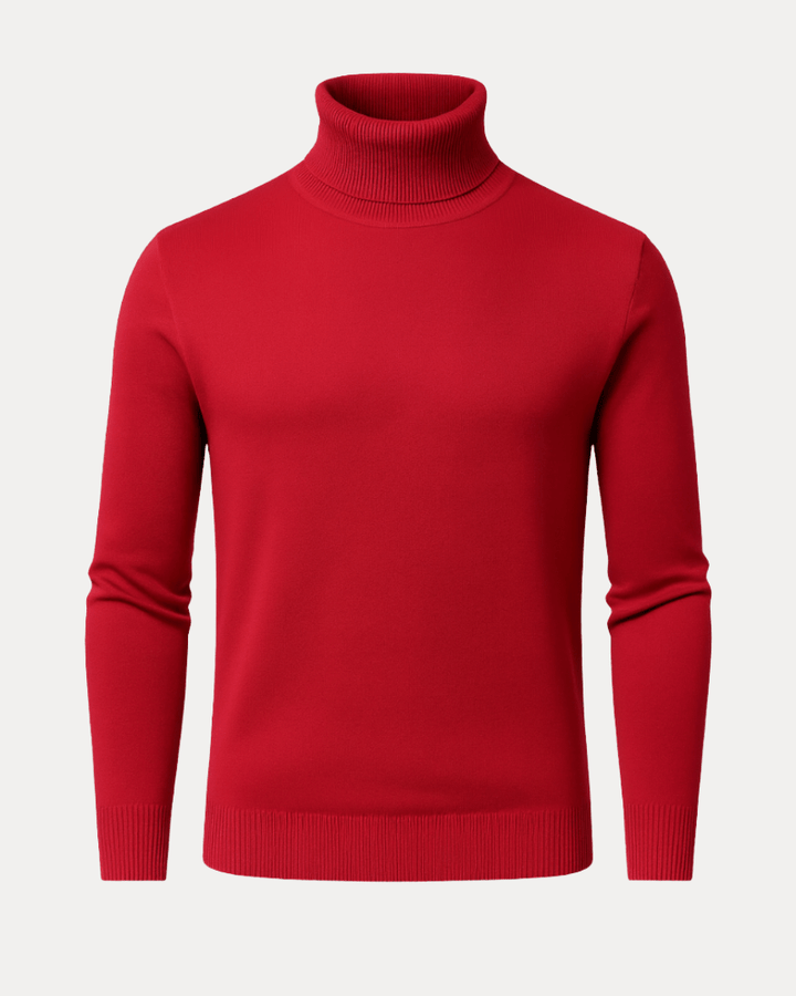 Men's fitted ribbed cotton turtleneck sweater for autumn