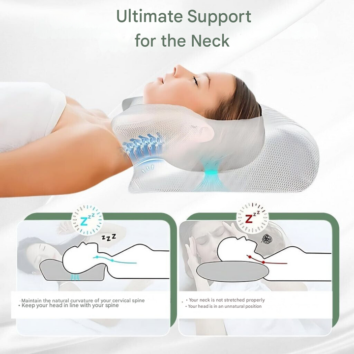 Orthopedic Pillow – DreamAlign