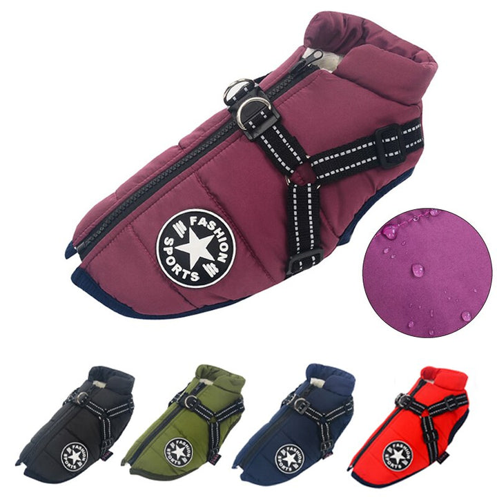 Lightweight, waterproof dog coat for summer and autumn walks