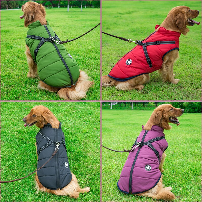 Lightweight, waterproof dog coat for summer and autumn walks