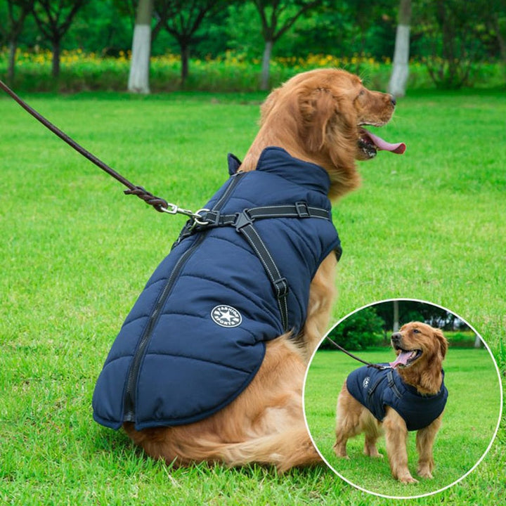 Lightweight, waterproof dog coat for summer and autumn walks