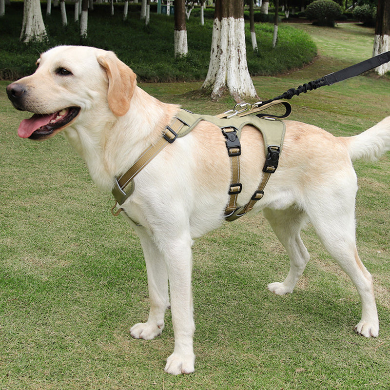 Adjustable reflective nylon no-pull dog harness for autumn