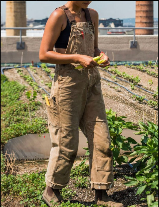 https://cdn.shopify.com/s/files/1/0998/9200/3147/files/unisex-garden-overalls-sam-beige-s-state_of_style.png?v=1766839430